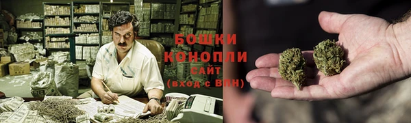 амф Костерёво
