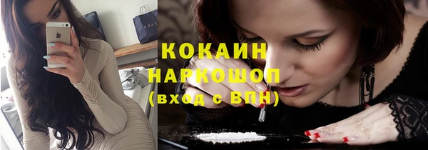 прущие грибы Красноперекопск