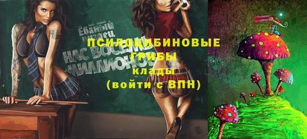 марки lsd Краснослободск