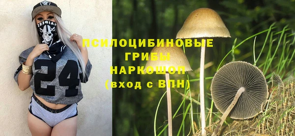 марки lsd Краснослободск