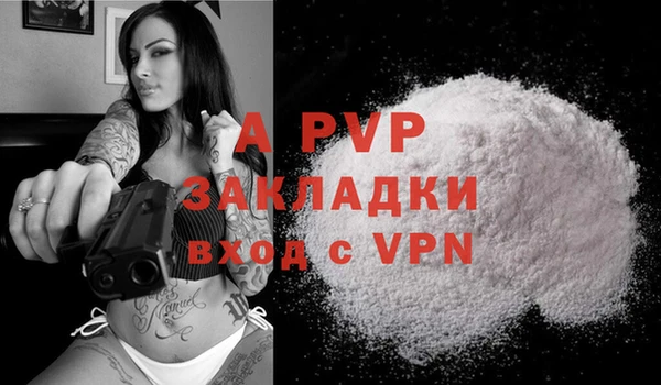 прущие грибы Красноперекопск