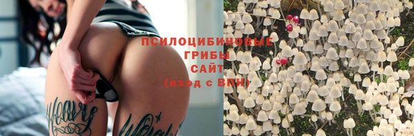 прущие грибы Красноперекопск