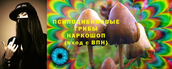марки lsd Краснослободск