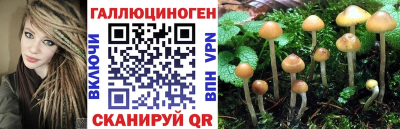 Галлюциногенные грибы ЛСД  где купить наркоту  Березники 