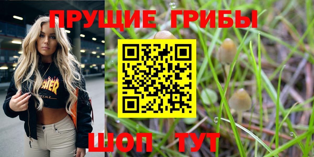 Псилоцибиновые грибы Magic Shrooms Березники
