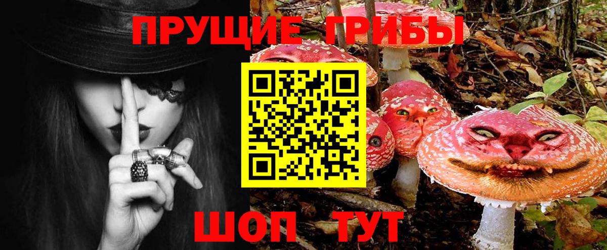 Псилоцибиновые грибы GOLDEN TEACHER Березники